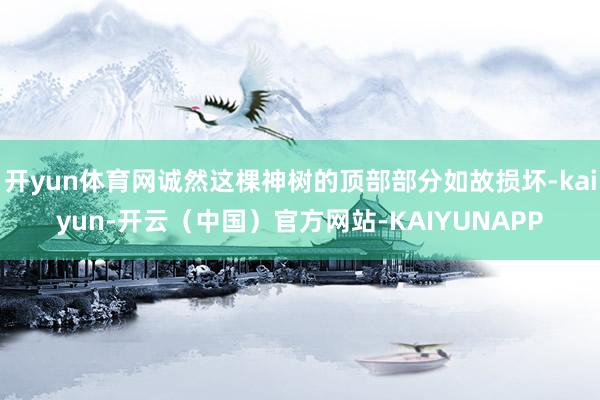开yun体育网诚然这棵神树的顶部部分如故损坏-kaiyun-开云（中国）官方网站-KAIYUNAPP