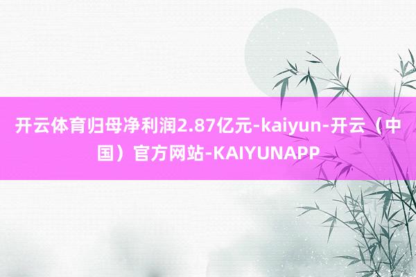 开云体育归母净利润2.87亿元-kaiyun-开云（中国）官方网站-KAIYUNAPP